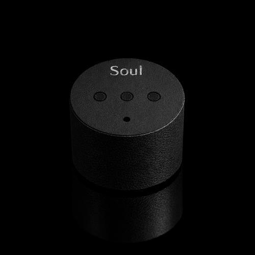 The Soul (Limited)