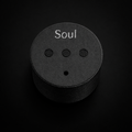 The Soul (Limited)